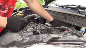 Замена ремня ГРМ Ford Fusion 1.6 Duratec.