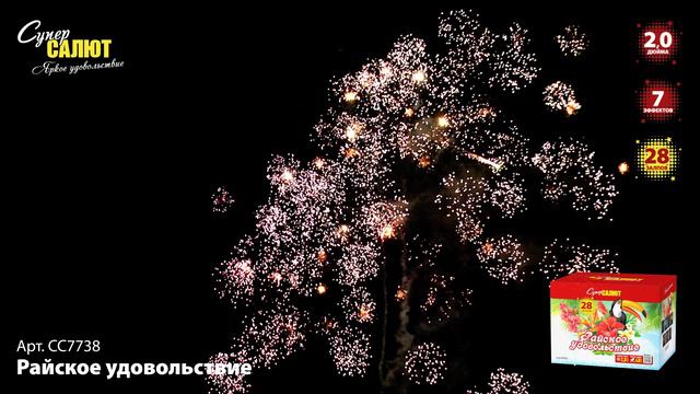 СС7738 смотреть онлайн