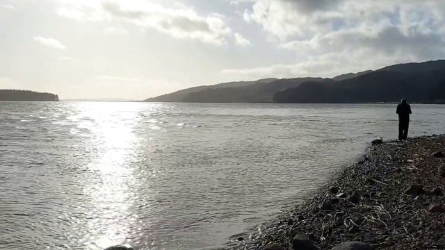 На побережье Тасманово моря и река Уаикато💙 смотреть онлайн