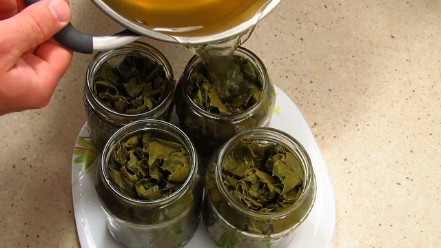 Заготовка виноградных листьев на зиму (для долмы) | Pickled Grape Leaves смотреть онлайн