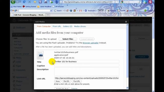 How to Upload & Link to a PDF, Excel or Word File in WordPress смотреть онлайн