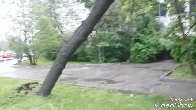 Ураган в Москве 29.05.2017 смотреть онлайн