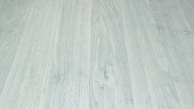 Переселение муравьёв в самодельный формикарий смотреть онлайн