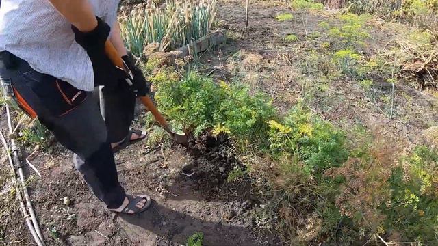 дача осенью.....неизвестное существо... смотреть онлайн
