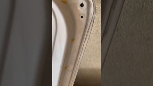 CÁNH CỬA HYUNDAI MIGHTY EX8 смотреть онлайн