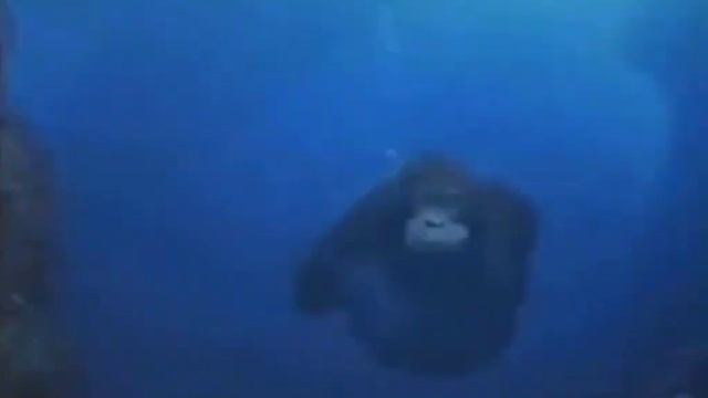 Обезьяна плавает под водой 2 смотреть онлайн