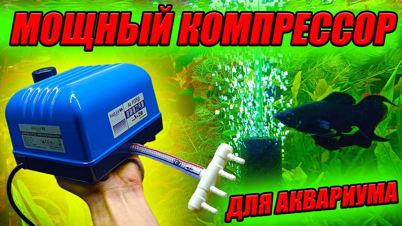МОЩНЫЙ КОМПРЕССОР для аквариума! Он сбивает рыб с ног! смотреть онлайн