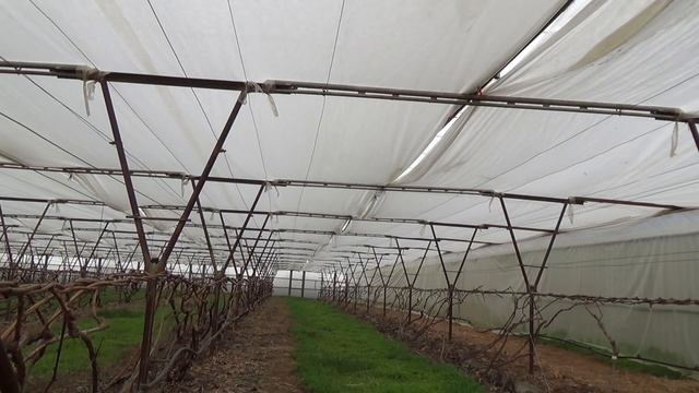 Монтаж второго купола в теплице. Часть - 3 (ответы на вопросы) смотреть онлайн