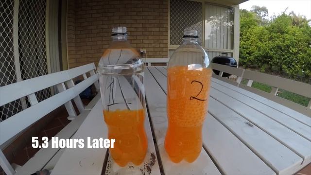 Ultimate Guide for Growing Gel Balls | Gelsoft Tech Talk смотреть онлайн