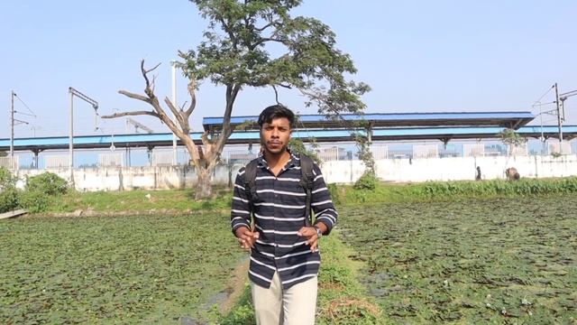 এই জায়গাটির নাম পানিফলের গ্রাম হাওয়া দরকার | Baruipara |বারুইপাড়া | Baruipara Dron view|Rangchob смотреть онлайн