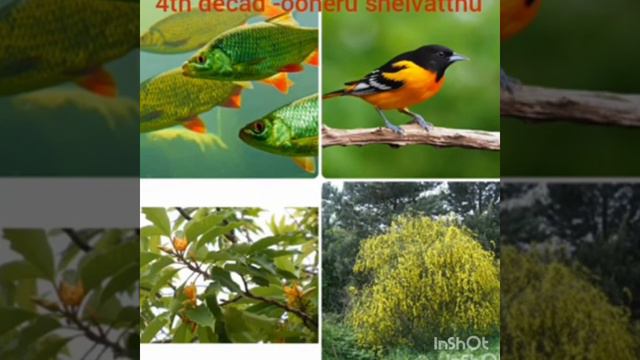 Kulashekhara Azhvar Thirunakshatram смотреть онлайн