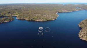 Национальный парк «Ладожские шхеры»