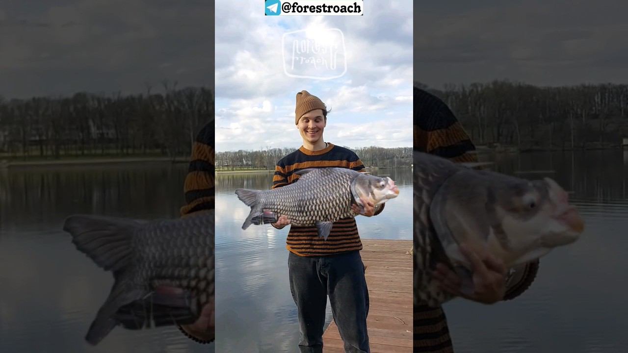 НА ЧТО СПОСОБЕН НОЖ EDC И ЧТО ЭТО ТАКОЕ!? #бушкрафт #выживание #нож #wood #diy смотреть онлайн