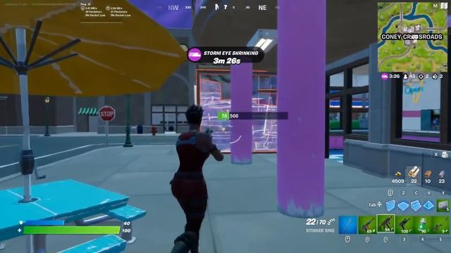 The *RANDOM* RARE SKIN Challenge in Fortnite смотреть онлайн