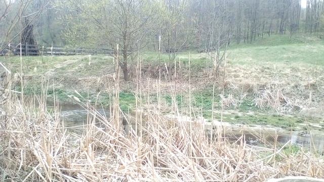 Христианские стихи с очень глубоким смыслом. смотреть онлайн