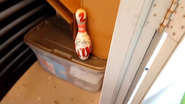 Raid Max and Raid Fumigator got rid of our Stink Bug Infestation! No major problems since then. смотреть онлайн