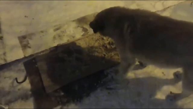 Всё равно побеждает ДОБРО!..? смотреть онлайн