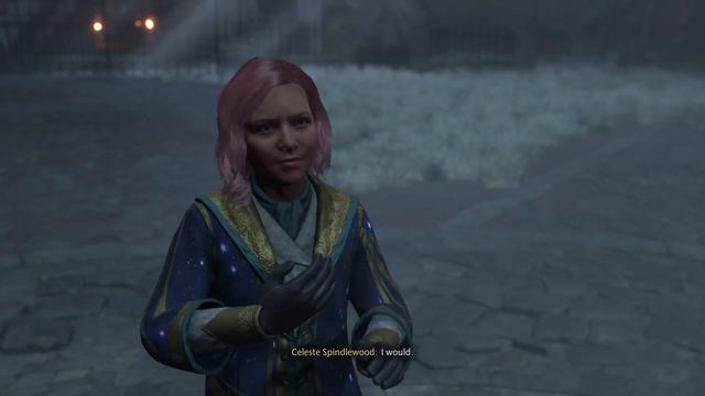 Hogwarts Legacy Part 13 -haunted hogmeades смотреть онлайн