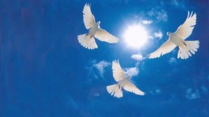 Помилуй нас, Боже