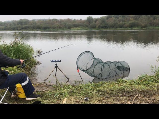 Рыбалка на ОКЕ ОСЕНЬЮ/ Рыба ЕСТЬ и она ЕСТ / Холода пришли смотреть онлайн