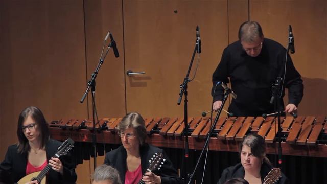 Toskanana (Jürgen Schieber) - Vivaldi Orchester Karlsfeld смотреть онлайн