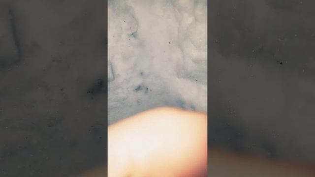 Snow survival tips смотреть онлайн
