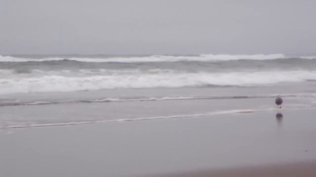 ♥ "Ebb Tide" - by Matt Monro смотреть онлайн