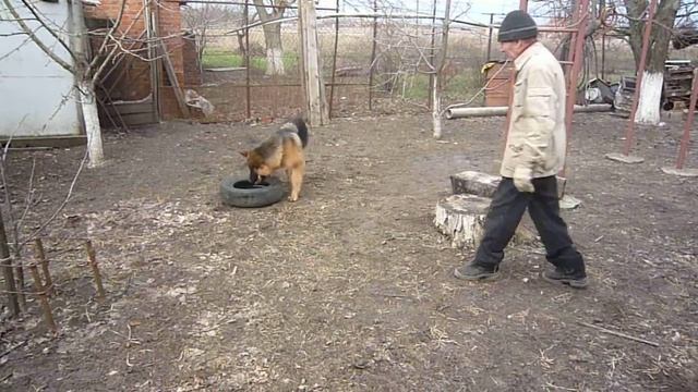 отбираем колесо смотреть онлайн