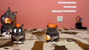 заставка котинет (сезон 2 2019-2020) логотип качели 2023 весна