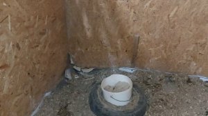 Индюки обжоры! Сколько корма съедают индюки за сутки в 5 месяце.