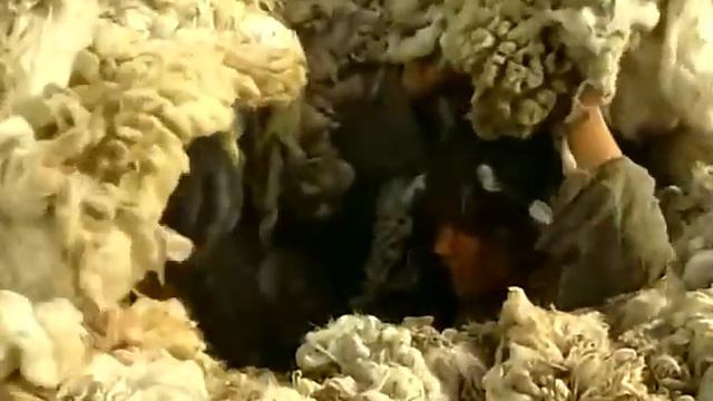 Шыңғыс хан (Чингис хан) 4/30