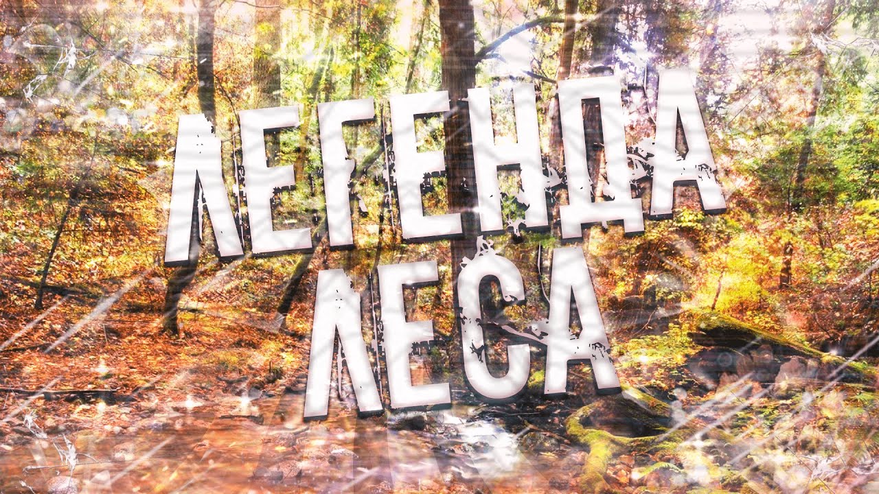 Страшные истории на ночь-Легенда леса