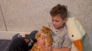 ГУСЬ ОБНИМУСЬ РАСПАКОВКА ? СМЕШНЫЕ ЖИВОТНЫЕ #fannyvideo #cat #dogs #гусьобнимусь