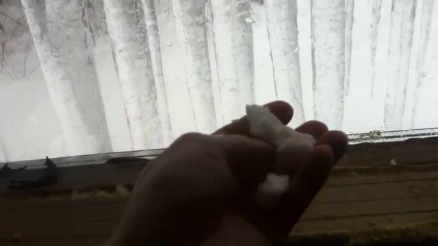 ППУ - ГОВНО??!! Не долго музыка играла!