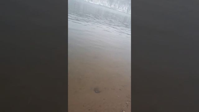 Рыбалка на реке Уссури. смотреть онлайн