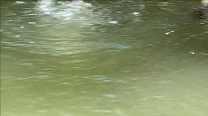 Рыбалка на  паук 2023