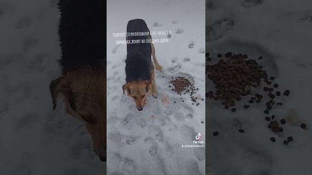 так и живём ☺️,не смотря ни на что! смотреть онлайн
