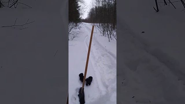 Честный отзыв, Бурлак Егерь Опти 15 Лс смотреть онлайн