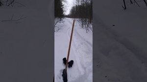 Честный отзыв, Бурлак Егерь Опти 15 Лс