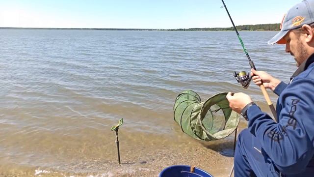 Ловля плотвы на фидер на озере Малый Кисегач. Рыбалка в Челябинской области. смотреть онлайн