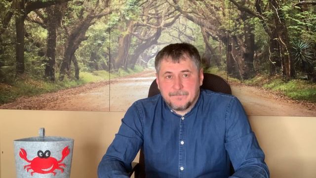 Четыре уровня освоения списка Лесных садов смотреть онлайн