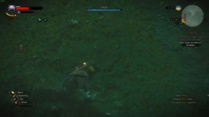 Зацепки поиска жены барона - Тамара - The Witcher 3: Wild Hunt#10