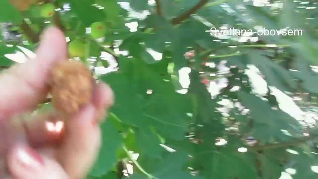 Как Сделать Уникально