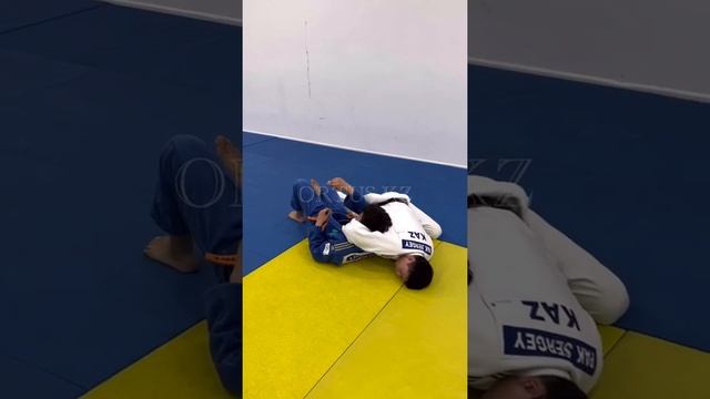 Judo Kata-Sankaku, ORTUS.KZ смотреть онлайн
