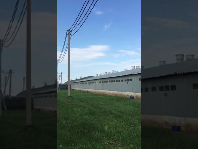 Краска для оцинкованной крыши резиновая ЛКМ СССР смотреть онлайн