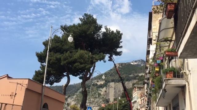 Salerno: chiusa via Benedetto Croce per potatura alberi dei giardini del Belvedere смотреть онлайн