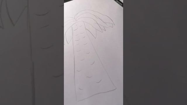 как нарисовать картинку пальмы смотреть онлайн