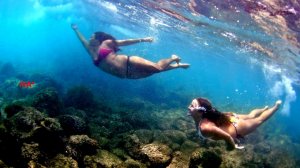 Красивые НЫРЯЛЬЩИЦЫ в БИКИНИ!