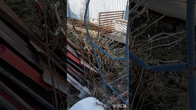 Начало дачного сезона 2023г смотреть онлайн