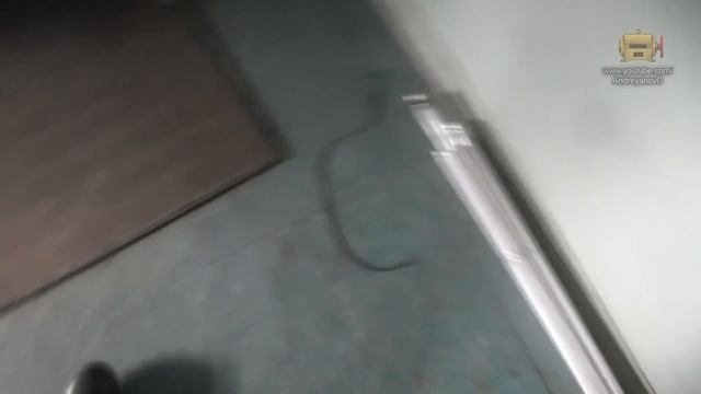 Ремонт древнего быстроходного лифта тонника-залипайки смотреть онлайн